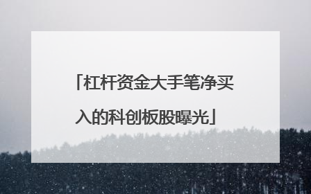 杠杆资金大手笔净买入的科创板股曝光