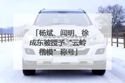 杨斌、闻明、徐成东被授予“云岭楷模”称号