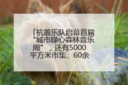 杭盖乐队启幕首届“城市绿心森林音乐周”，还有5000平方米市集、60余场免费活动等你来