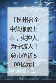 杭州名企中策橡胶上市，实控人为宁波人！总市值近500亿元