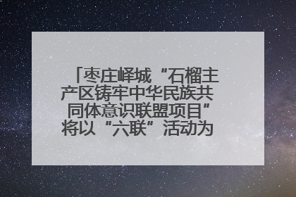 枣庄峄城“石榴主产区铸牢中华民族共同体意识联盟项目”将以“六联”活动为抓手深化品牌建设