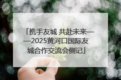 携手友城 共赴未来——2025黄河口国际友城合作交流会侧记