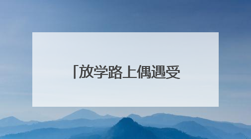 放学路上偶遇受伤夜鹭，聊城三名小学生求助民警