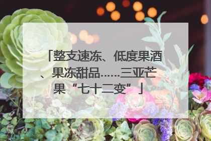整支速冻、低度果酒、果冻甜品……三亚芒果“七十二变”