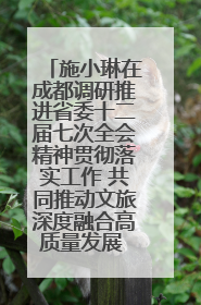 施小琳在成都调研推进省委十二届七次全会精神贯彻落实工作 共同推动文旅深度融合高质量发展 加快打造支柱产业民生产业幸福产业