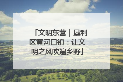 文明东营｜垦利区黄河口镇：让文明之风吹遍乡野