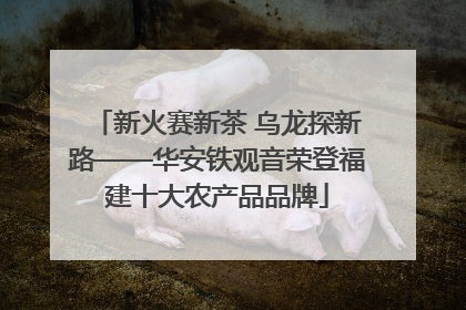 新火赛新茶 乌龙探新路——华安铁观音荣登福建十大农产品品牌
