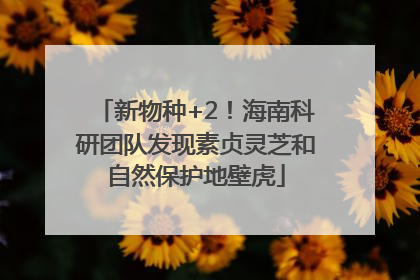 新物种+2！海南科研团队发现素贞灵芝和自然保护地壁虎