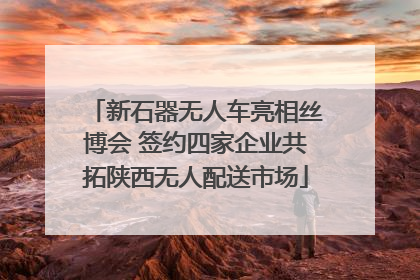 新石器无人车亮相丝博会 签约四家企业共拓陕西无人配送市场