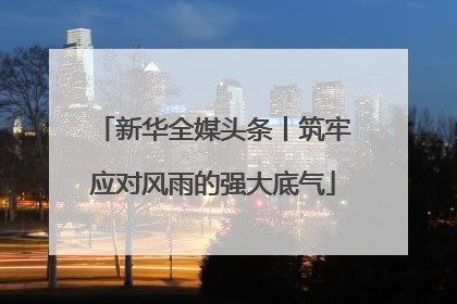 新华全媒头条丨筑牢应对风雨的强大底气