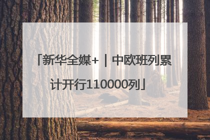 新华全媒+｜中欧班列累计开行110000列