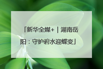 新华全媒+｜湖南岳阳：守护碧水迎蝶变