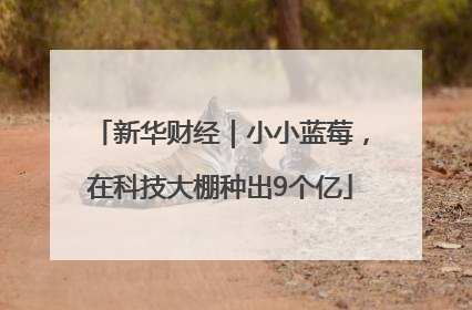新华财经｜小小蓝莓，在科技大棚种出9个亿