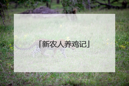 新农人养鸡记
