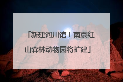 新建河川馆！南京红山森林动物园将扩建