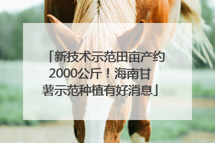 新技术示范田亩产约2000公斤！海南甘薯示范种植有好消息