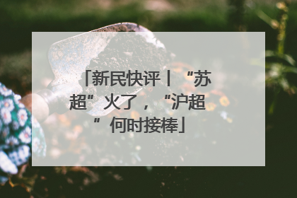 新民快评丨“苏超”火了，“沪超”何时接棒