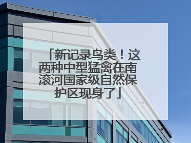 新记录鸟类！这两种中型猛禽在南滚河国家级自然保护区现身了