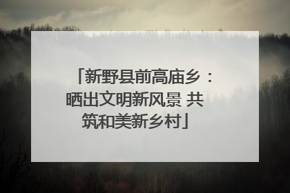 新野县前高庙乡：晒出文明新风景 共筑和美新乡村