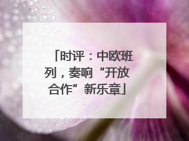 时评：中欧班列，奏响“开放合作”新乐章