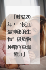 时隔20年！“长江最神秘的生物”极危物种鳤鱼重现赣江