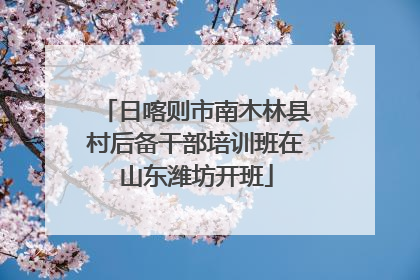 日喀则市南木林县村后备干部培训班在山东潍坊开班