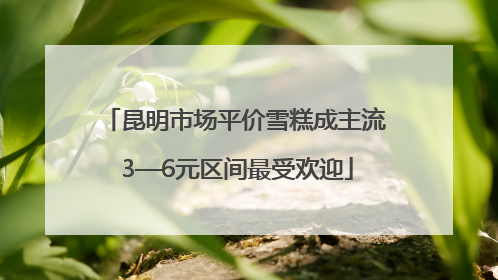 昆明市场平价雪糕成主流 3—6元区间最受欢迎