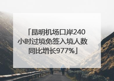 昆明机场口岸240小时过境免签入境人数同比增长977%