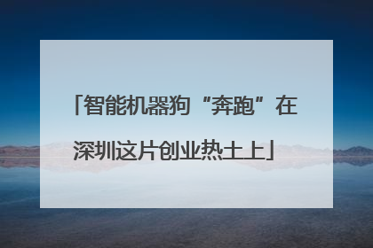 智能机器狗“奔跑”在深圳这片创业热土上