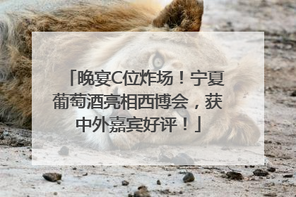 晚宴C位炸场！宁夏葡萄酒亮相西博会，获中外嘉宾好评！