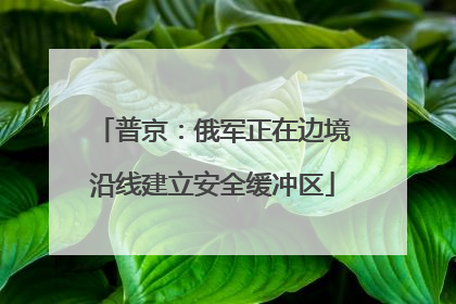 普京：俄军正在边境沿线建立安全缓冲区