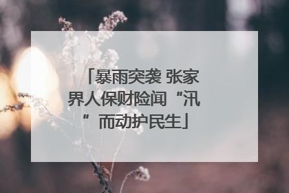暴雨突袭 张家界人保财险闻“汛”而动护民生