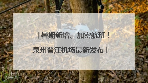 暑期新增、加密航班！泉州晋江机场最新发布
