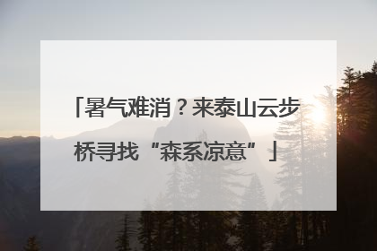 暑气难消？来泰山云步桥寻找“森系凉意”