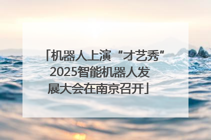 机器人上演“才艺秀” 2025智能机器人发展大会在南京召开