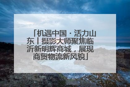 机遇中国・活力山东丨摄影大师聚焦临沂新明辉商城，展现商贸物流新风貌