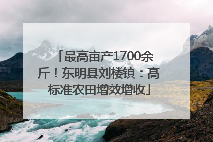 最高亩产1700余斤！东明县刘楼镇：高标准农田增效增收
