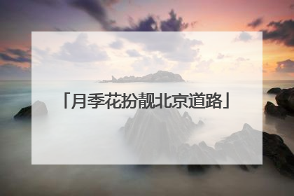 月季花扮靓北京道路