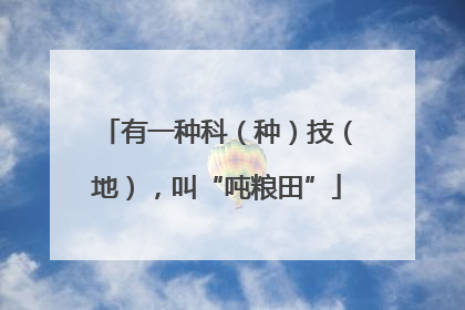 有一种科（种）技（地），叫“吨粮田”
