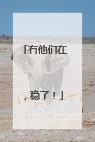 有他们在，稳了！