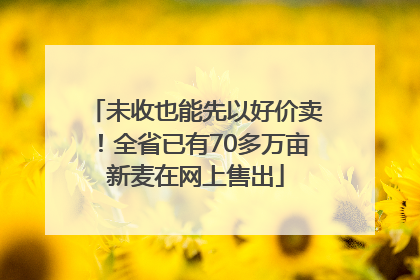 未收也能先以好价卖！全省已有70多万亩新麦在网上售出