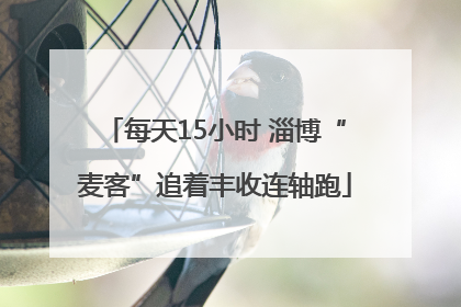 每天15小时 淄博“麦客”追着丰收连轴跑