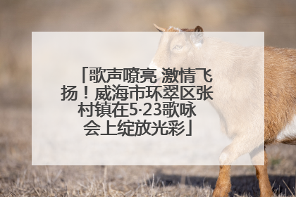 歌声嘹亮 激情飞扬！威海市环翠区张村镇在5·23歌咏会上绽放光彩