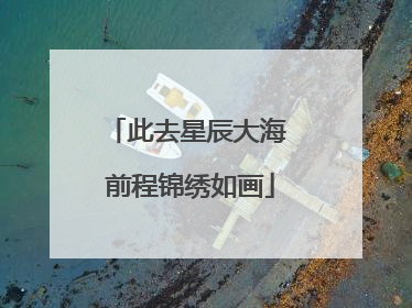 此去星辰大海 前程锦绣如画