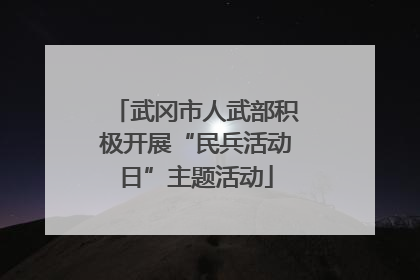 武冈市人武部积极开展“民兵活动日”主题活动