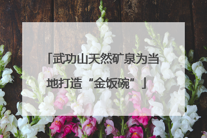 武功山天然矿泉为当地打造“金饭碗”