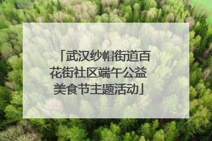 武汉纱帽街道百花街社区端午公益美食节主题活动