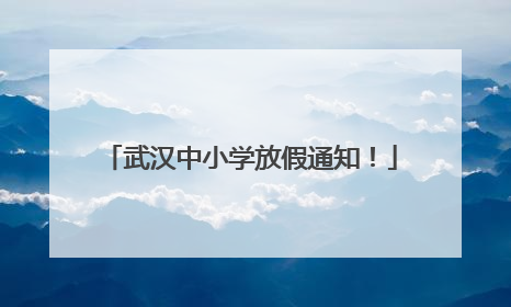 武汉中小学放假通知！