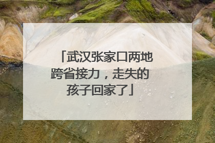 武汉张家口两地跨省接力，走失的孩子回家了