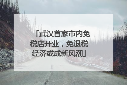 武汉首家市内免税店开业，免退税经济或成新风潮